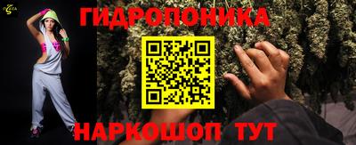 ECSTASY Славгород