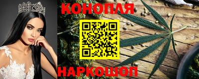 эйфоретик Сланцы