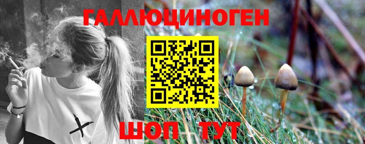 Прохладный  наркошоп  Вход с VPN  Галлюциногенные грибы MAGIC MUSHROOMS  Галлюциногенные грибы мухоморы 