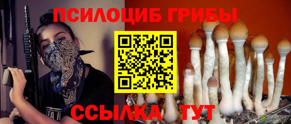 Псилоцибиновые грибы Magic Shrooms Прохладный